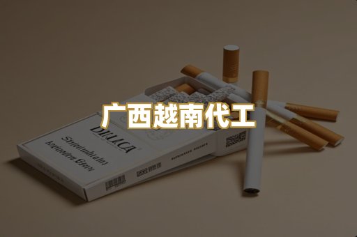 广西越南代工